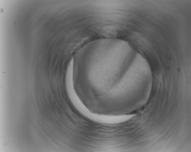 X0000061150088200512092010