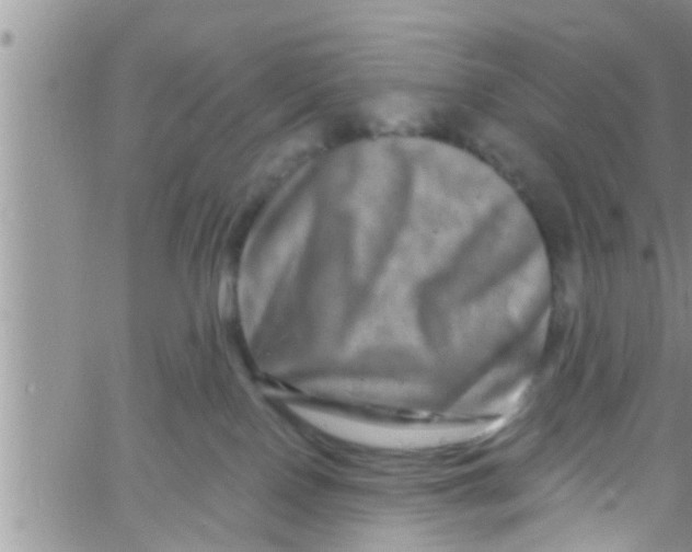 X0000061150090200512092010