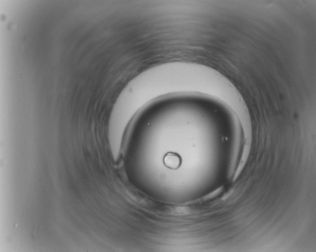 X0000061150091200512092010