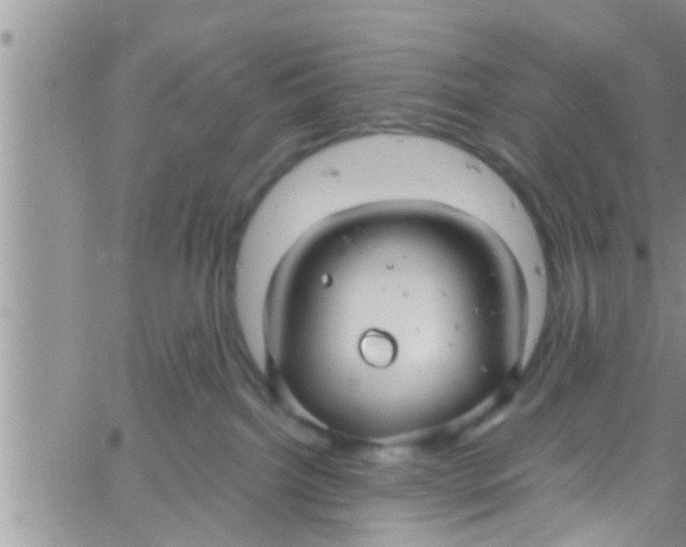 X0000061150092200512092010