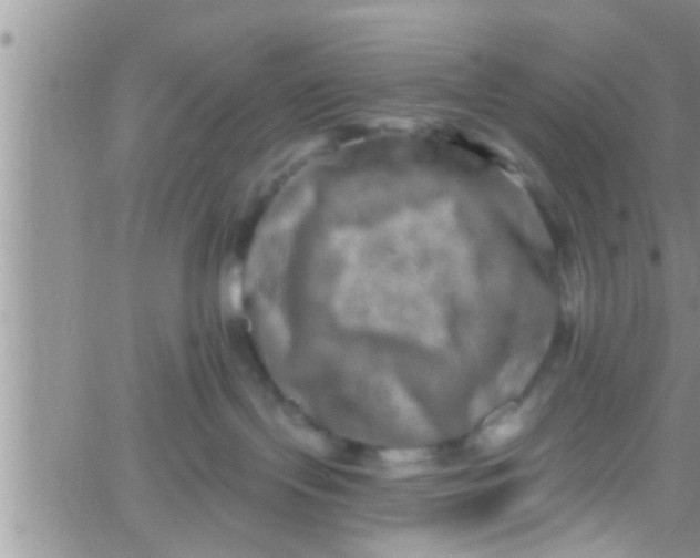 X0000061150095200512092010