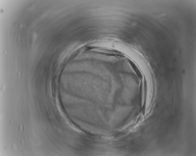 X0000061150097200512092009