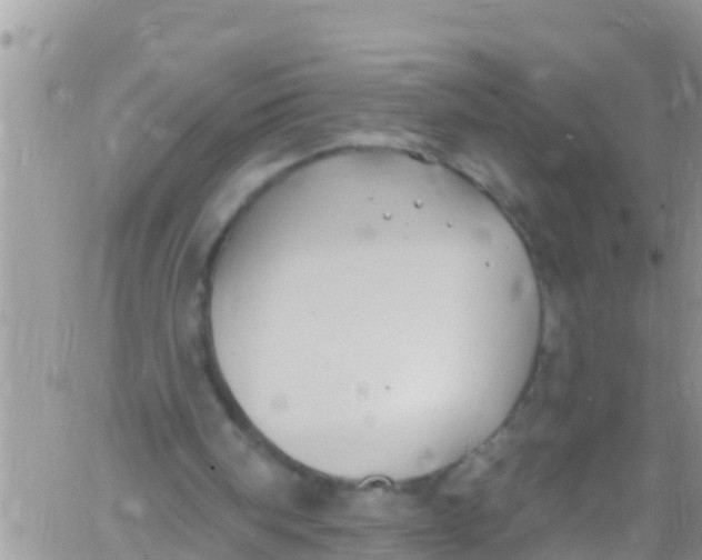 X0000061150098200512092009