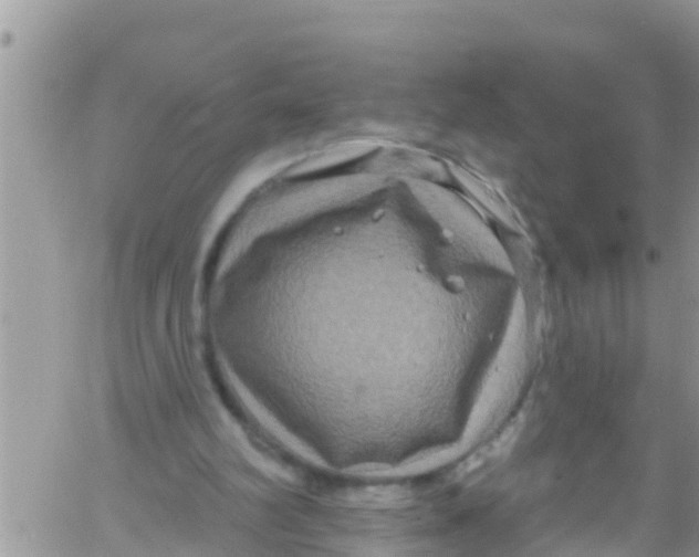 X0000061150102200512092009