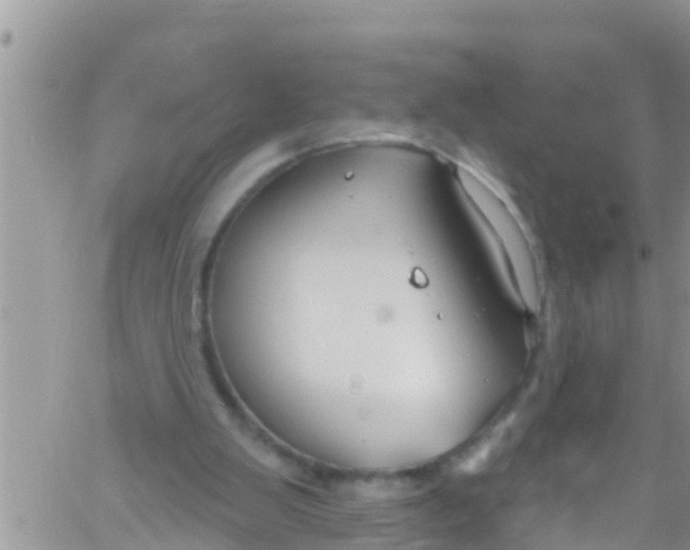 X0000061150103200512092009