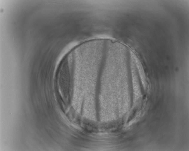 X0000061150104200512092009