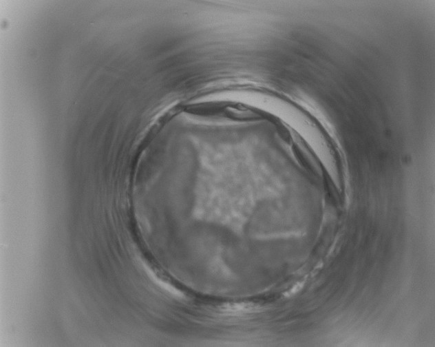 X0000061150105200512092009