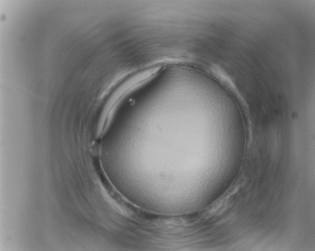 X0000061150106200512092009