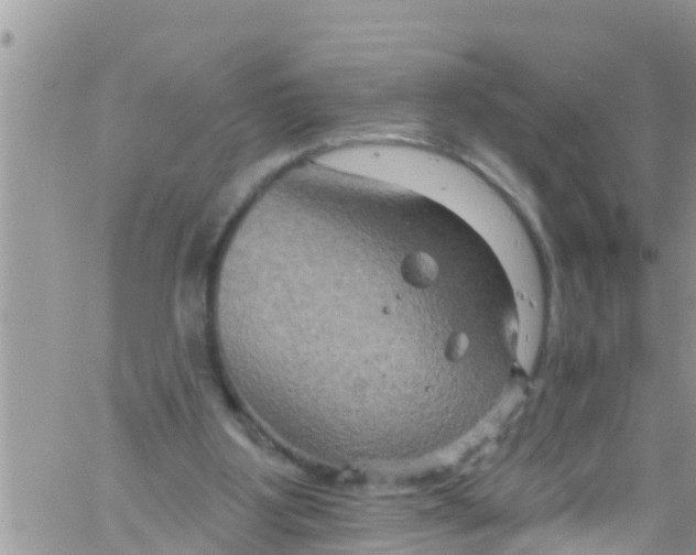 X0000061150107200512092009