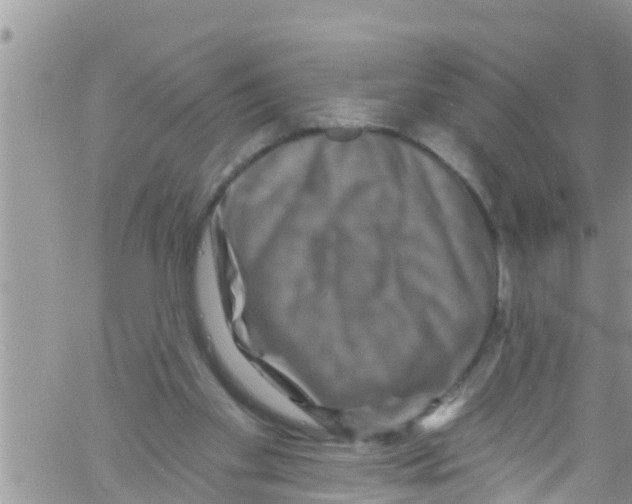 X0000061150109200512092009