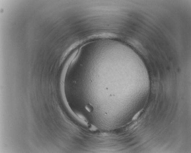 X0000061150111200512092009