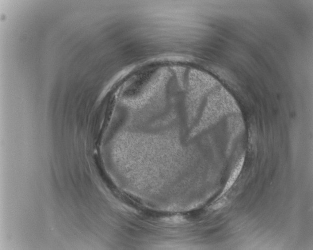 X0000061150112200512092009