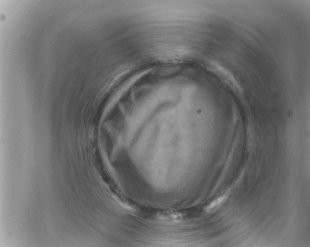 X0000061150113200512092009