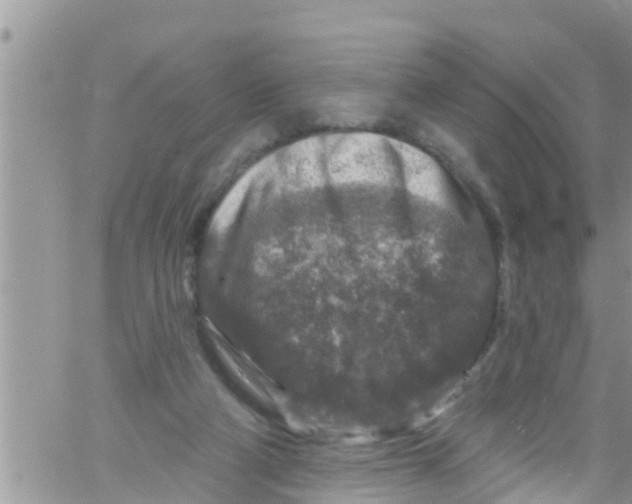 X0000061150114200512092009