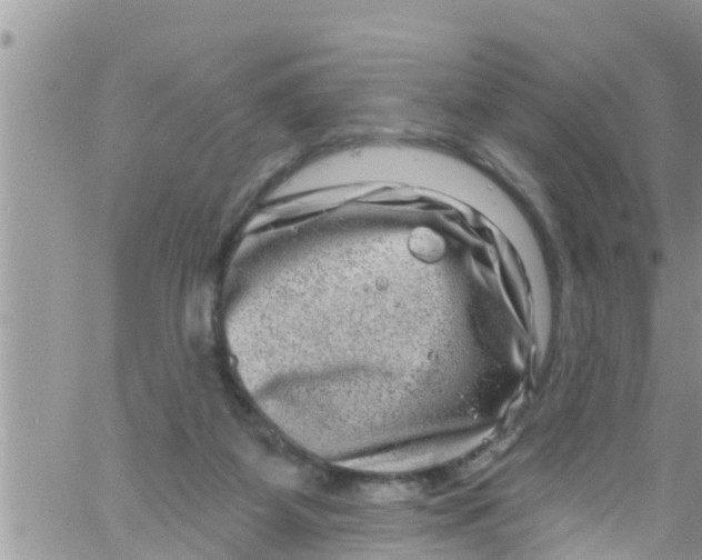 X0000061150115200512092009