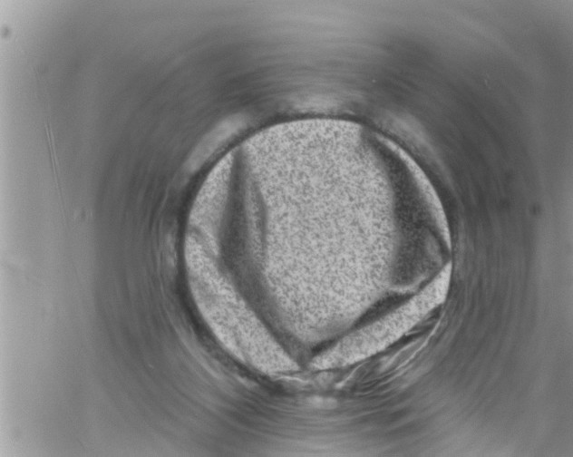 X0000061150116200512092009