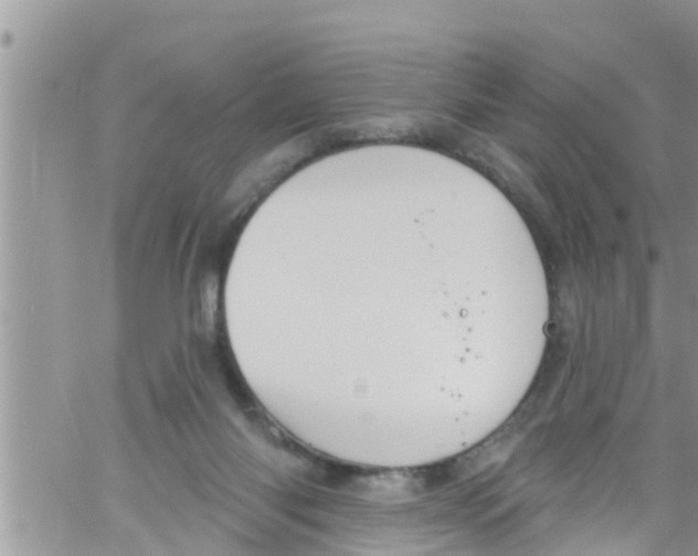 X0000061150118200512092009