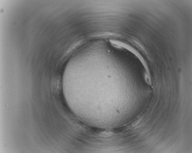 X0000061150119200512092009