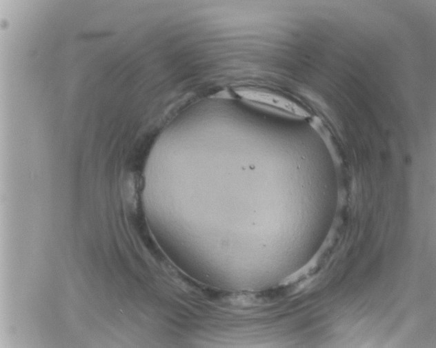 X0000061150121200512092009