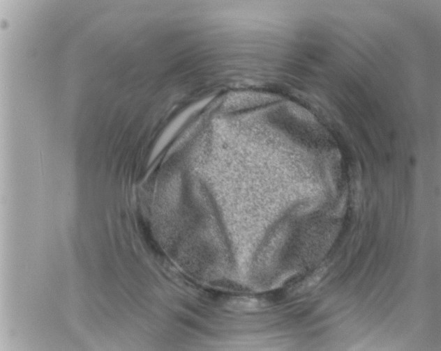 X0000061150123200512092009