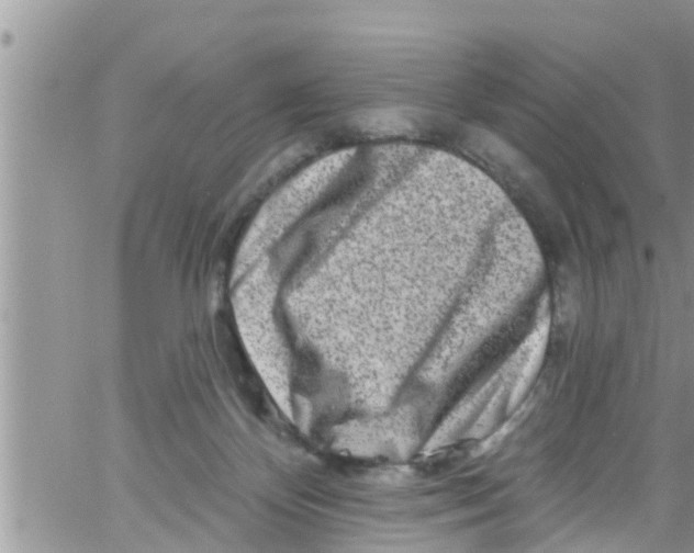 X0000061150124200512092009