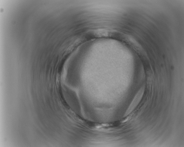 X0000061150125200512092009