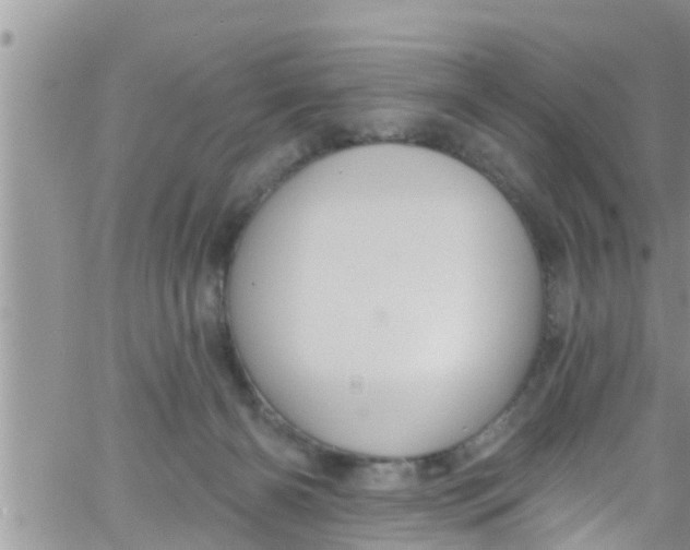 X0000061150126200512092009