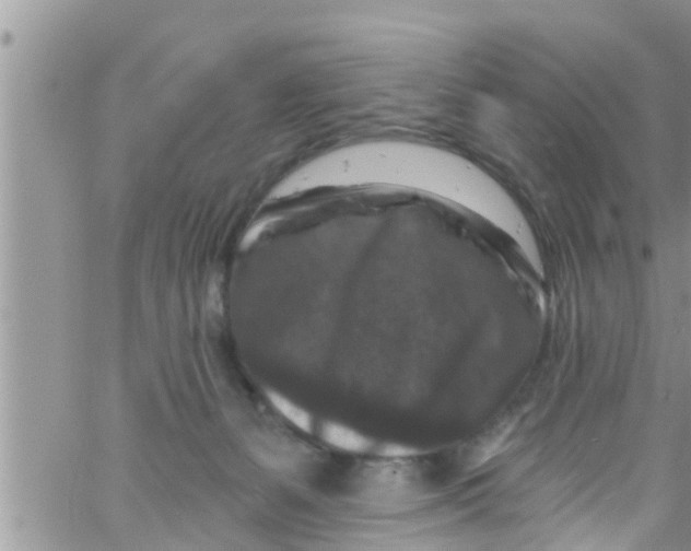 X0000061150127200512092009