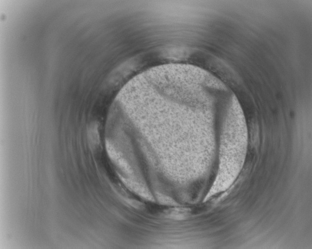 X0000061150128200512092009