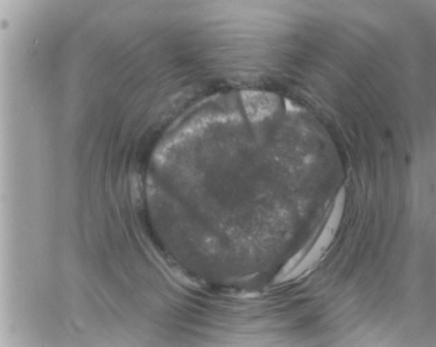 X0000061150130200512092009