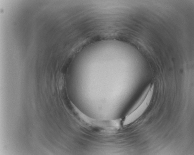 X0000061150133200512092009