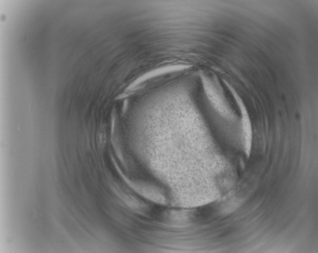 X0000061150134200512092009