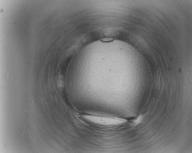 X0000061150135200512092009