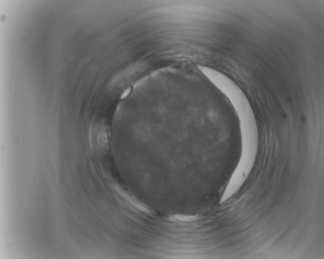 X0000061150137200512092009