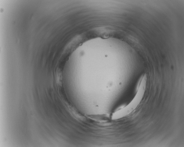 X0000061150138200512092009