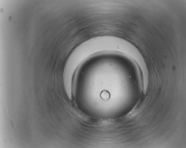 X0000061150141200512092009