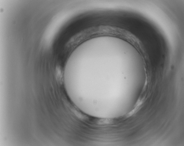 X0000061150142200512092009