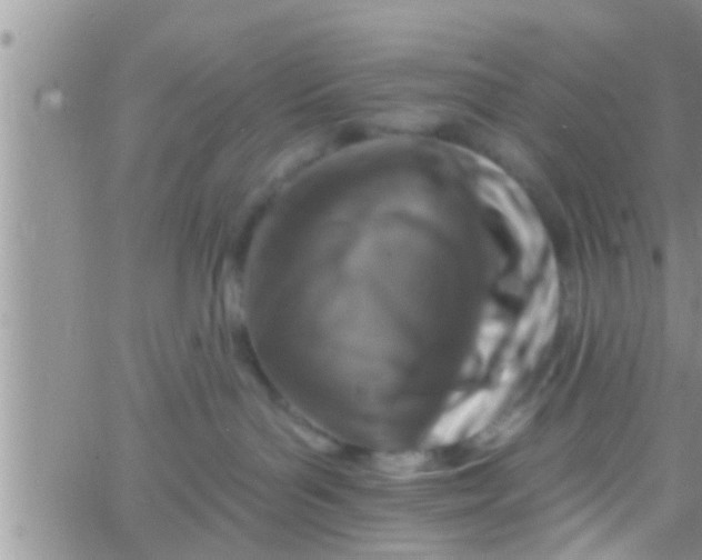 X0000061150143200512092009