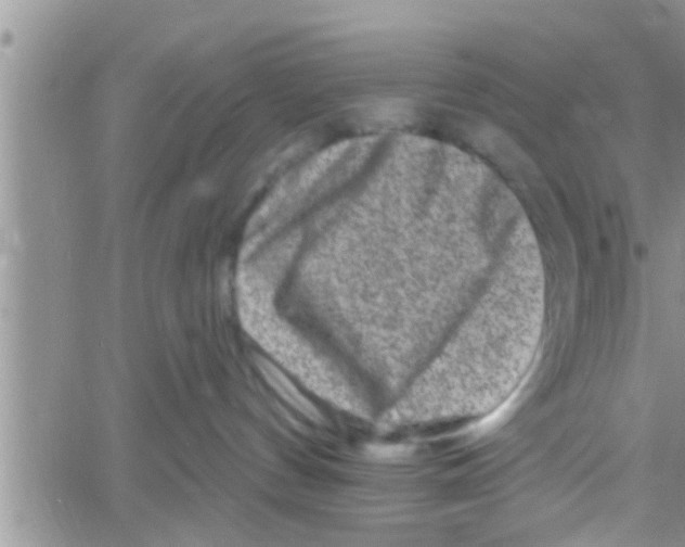 X0000061150144200512092009