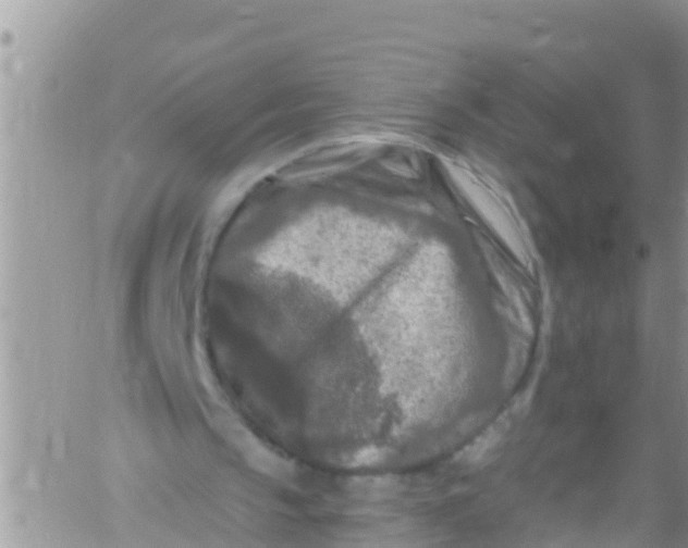 X0000061150145200512092008