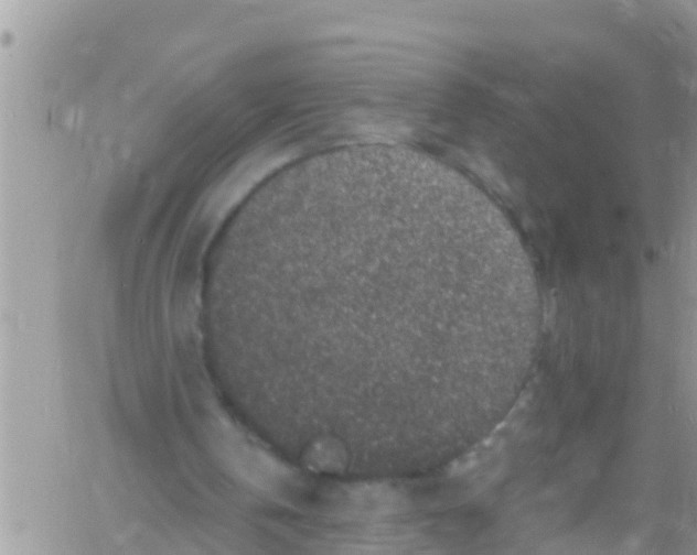 X0000061150146200512092008