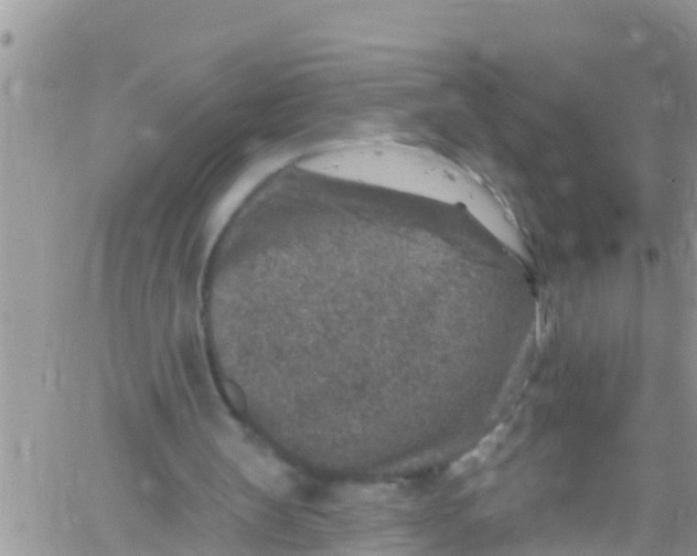 X0000061150147200512092008