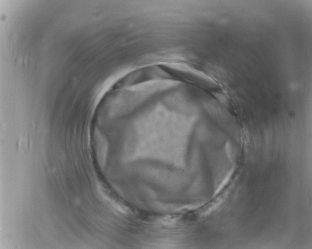 X0000061150148200512092008