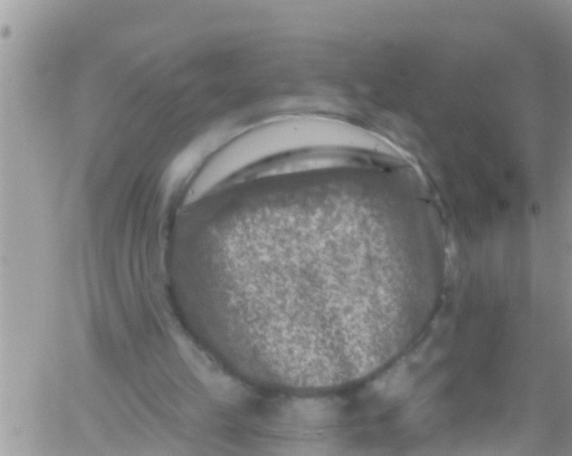 X0000061150149200512092008