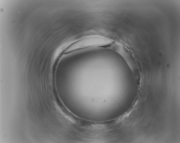 X0000061150150200512092008