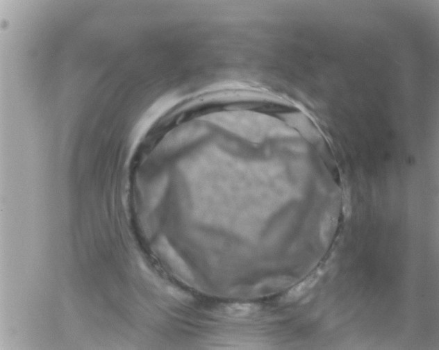 X0000061150152200512092008