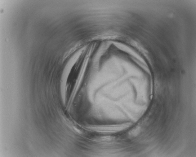 X0000061150153200512092008