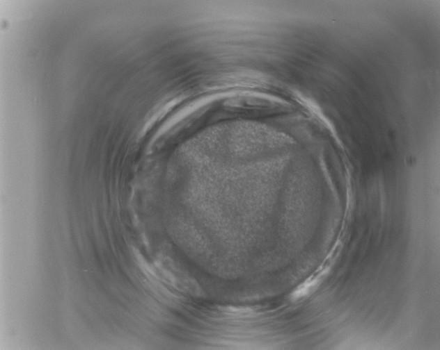 X0000061150154200512092008