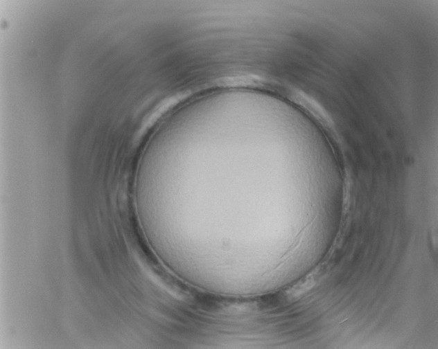 X0000061150155200512092008