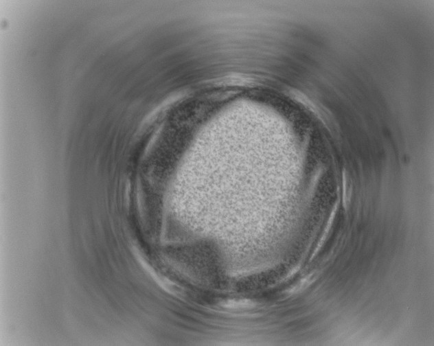 X0000061150157200512092008